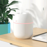 3 in 1 - Portable Air Humidifier (Large Capacity 260ML)