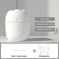 3 in 1 - Portable Air Humidifier (Large Capacity 260ML)