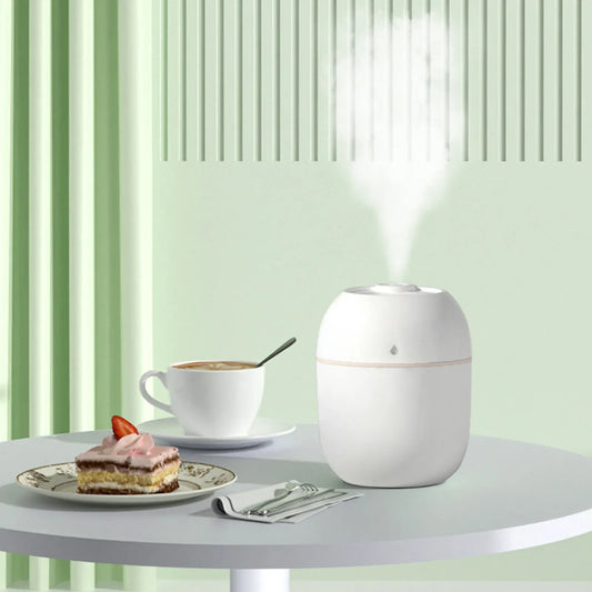 3 in 1 - Portable Air Humidifier (Large Capacity 260ML)
