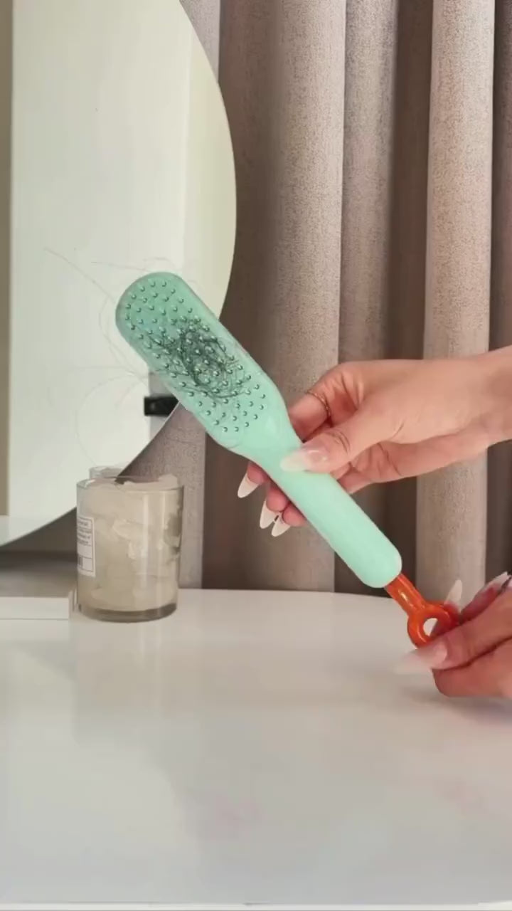 4 In 1 Self Cleaning Hair Brush